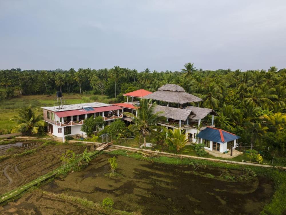 Nelu Villa Sigiriya Exterior foto