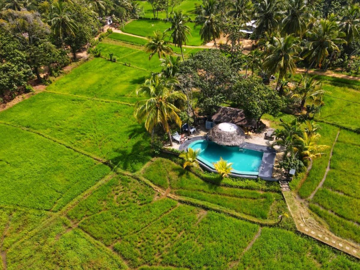 Nelu Villa Sigiriya Exterior foto