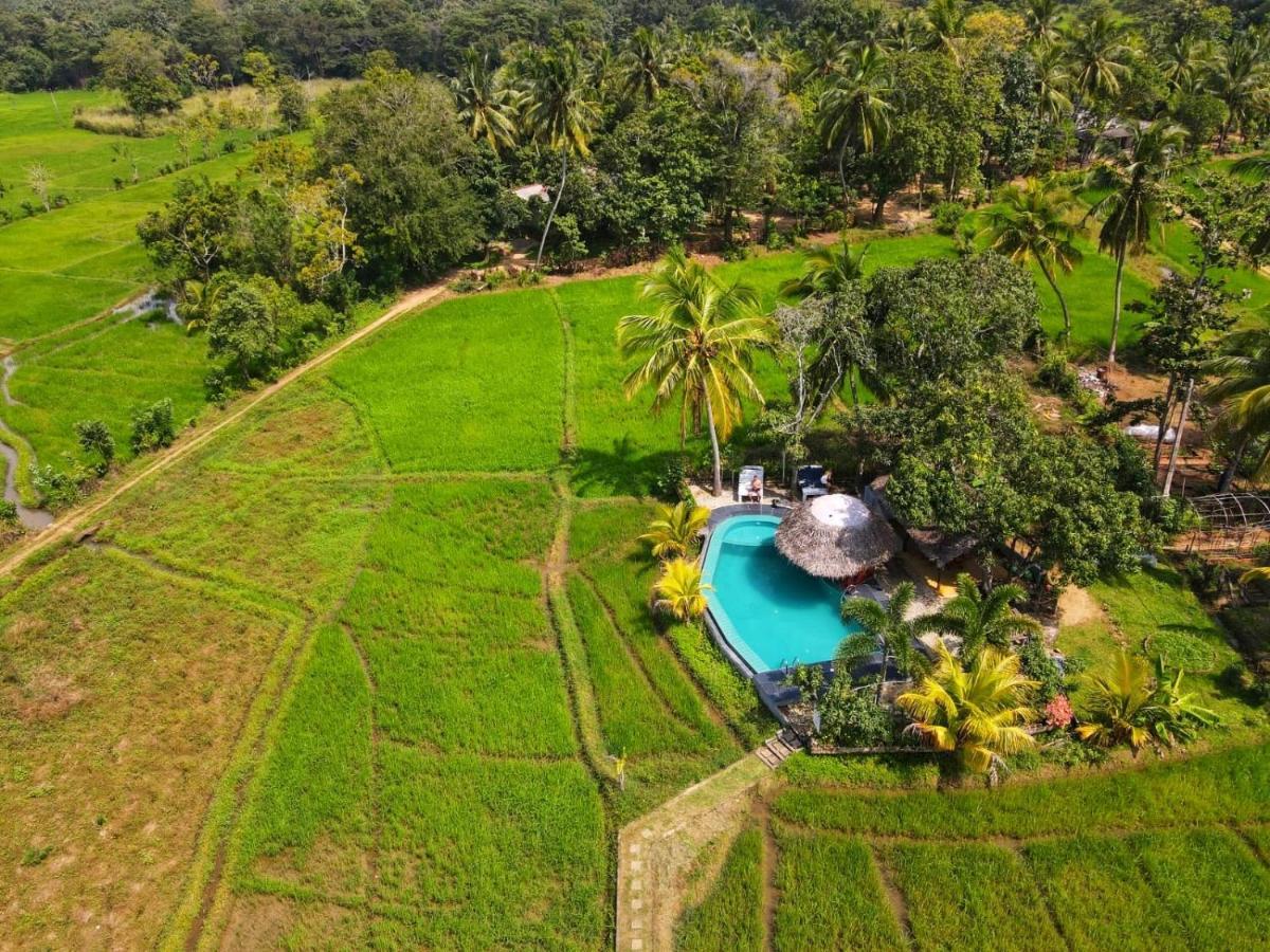 Nelu Villa Sigiriya Exterior foto