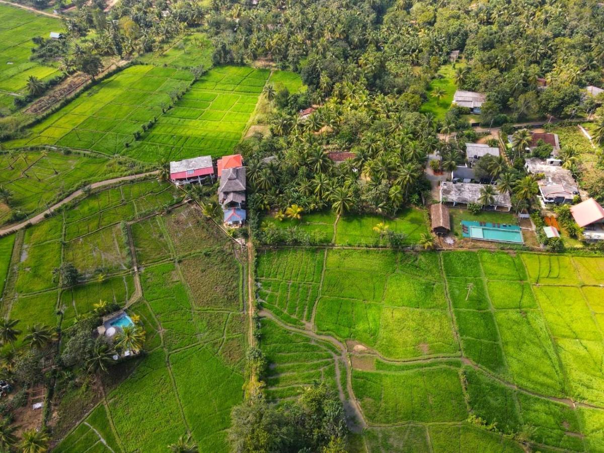 Nelu Villa Sigiriya Exterior foto