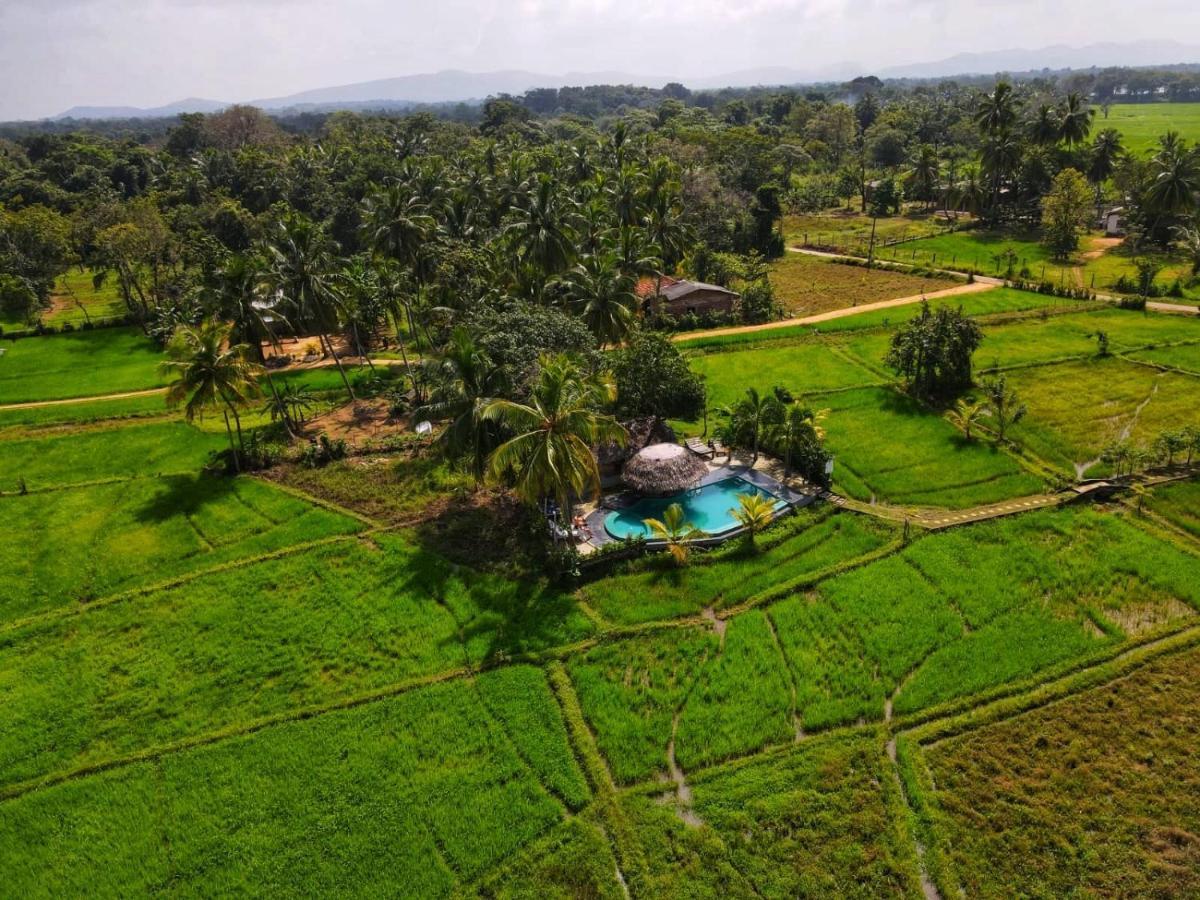 Nelu Villa Sigiriya Exterior foto