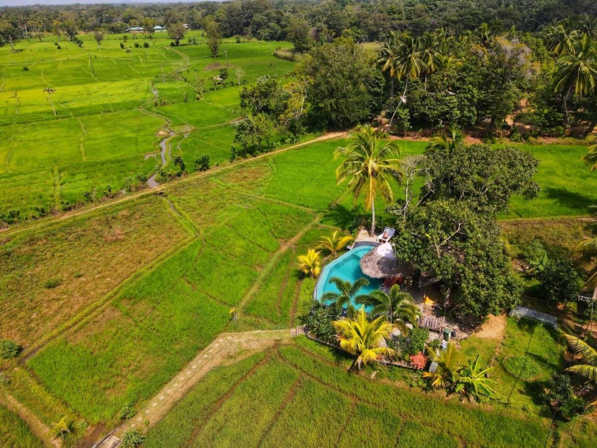 Nelu Villa Sigiriya Exterior foto