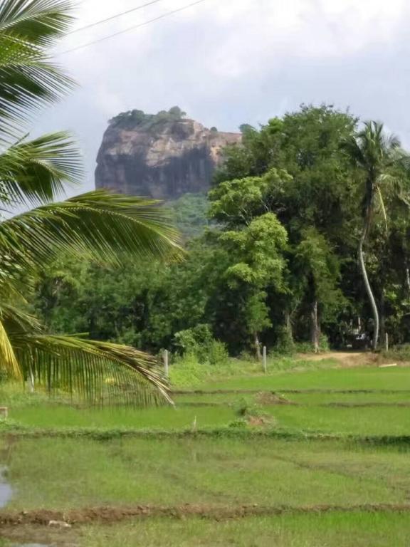 Nelu Villa Sigiriya Exterior foto