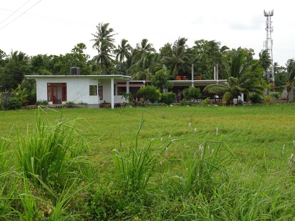 Nelu Villa Sigiriya Exterior foto