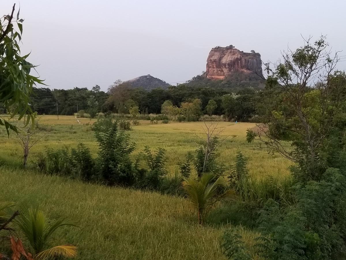 Nelu Villa Sigiriya Exterior foto