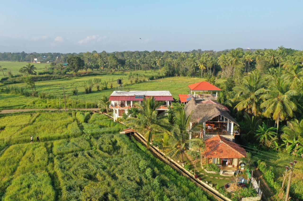 Nelu Villa Sigiriya Exterior foto