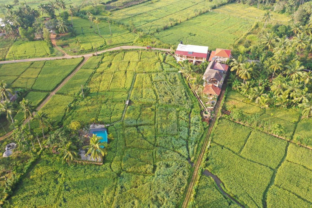 Nelu Villa Sigiriya Exterior foto